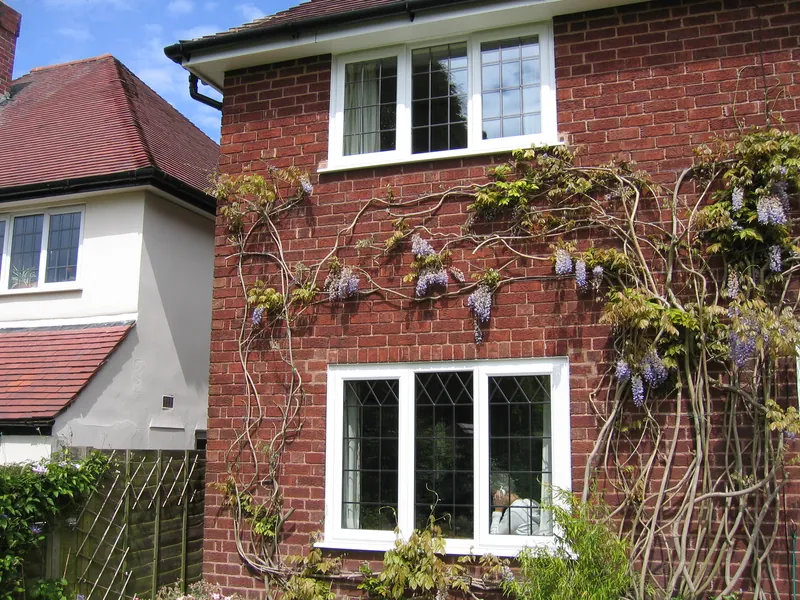 Edwardian Conservatory — Gallery Walworth
